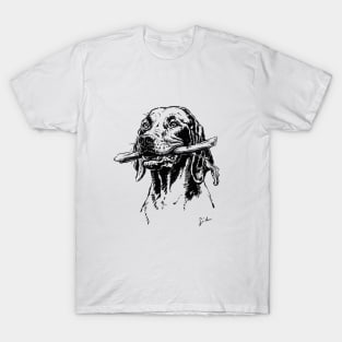 Vizsla dog drawing T-Shirt